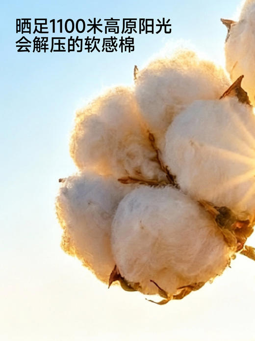 英氏女童短袖连衣裙夏季新款云丝白裙子纯棉公主裙YRLCJ2S022A 商品图1