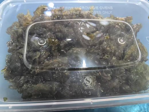 新鲜地皮菜 商品图1