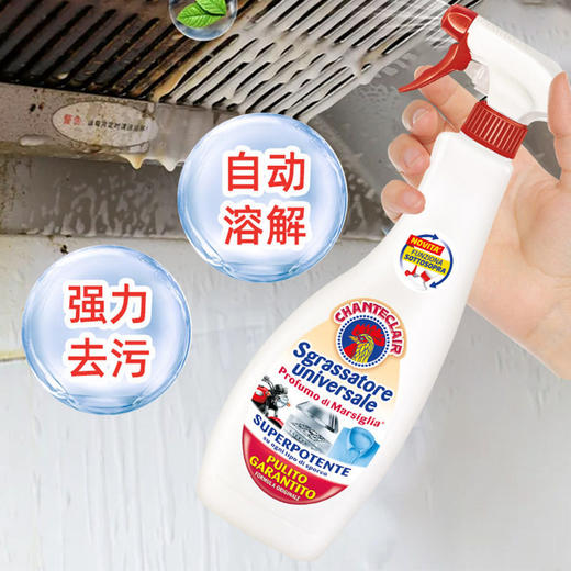 意大利大公鸡头油污净多功能油渍清洗厨房清洁剂强力去油污清洗剂 商品图2