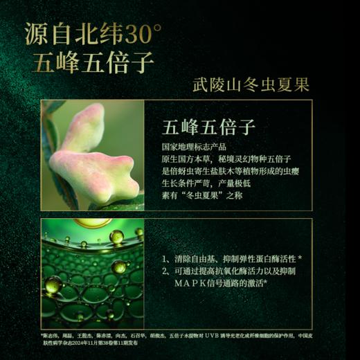 芙葭颜集萃淡纹弹力眼霜30g/瓶 商品图1