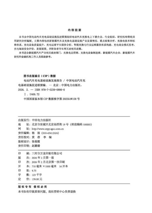 电动汽车充电基础设施发展报告 商品图3