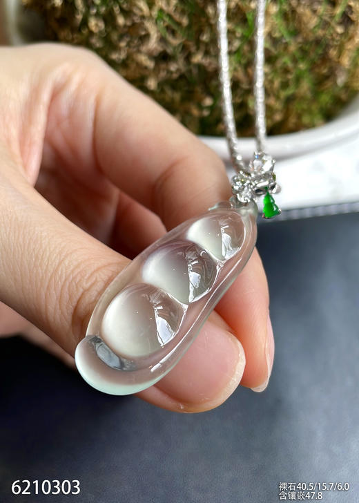 玻璃种福豆吊坠【6210303】具体价格微信咨询 商品图5