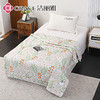 洁丽雅 致青春.艾草亲柔夏被JLY25501 商品缩略图2