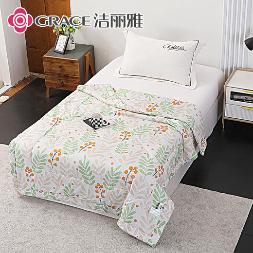 洁丽雅 致青春.艾草亲柔夏被JLY25501 商品图2