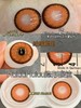 『日抛两片装』YUKICON--/绒绒暖阳/绒绒云灰/绒绒墨绿-总直径14.5mm-着色13.9mm【日抛0-800度 无525/575】 商品缩略图1