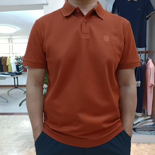 60支丝光素色螺纹领棉上衣男士绣标纯色polo衫  XYD*-887051 商品图0