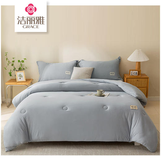 洁丽雅（Grace)岚烟.柔软亲肤四季被 商品图1