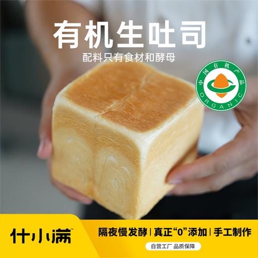 【厂商直发】有机生吐司/全麦贝果/蓝莓贝果/红豆餐包拒绝添加手工面包包邮 商品图9