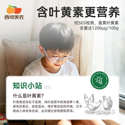 【产地溯源】有无抗认证 给大家在产地溯源10枚装鸡蛋 先尝尝给我反馈！ 商品图8