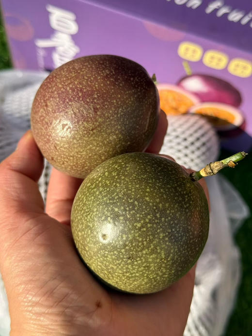 紫皮蜜桃味百香果 商品图3