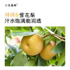 「甘桔柠檬膏棒棒糖」古方二陈汤+桔梗汤 真膏方 不伤牙 商品缩略图2