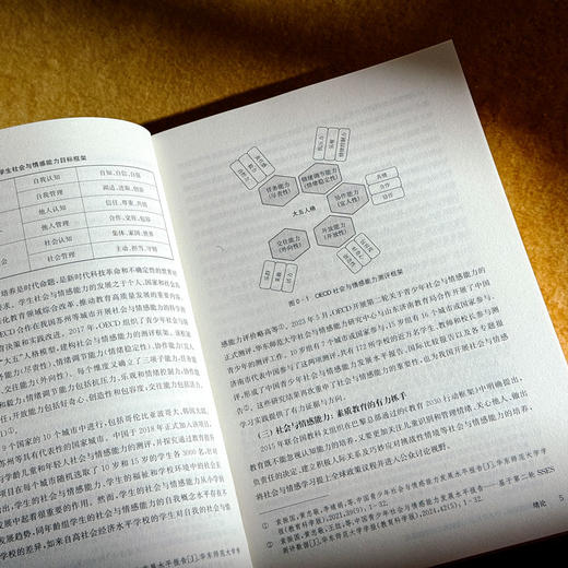 全环境情感场 中小学社会与情感能力培育新模式 创新育人模式 培养学生的社会与情感能力 商品图8