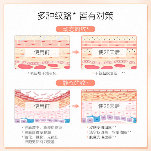 神琦雪绒花赋颜套装（旅行装）精华水20ml 活肤乳20g 精华液4ml 精华霜10g 商品图1