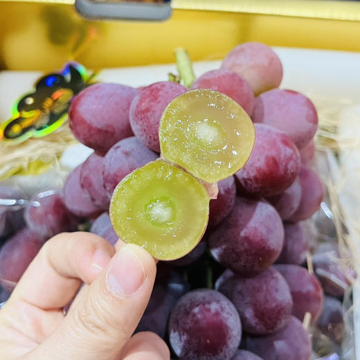 妮娜皇后葡萄 1件3斤  自带酒香味，甜度高 包装随机 商品图7