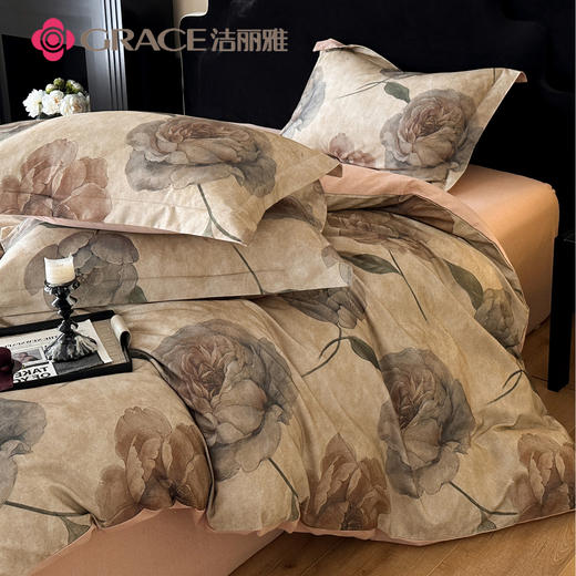 洁丽雅（Grace)帛书影.全棉轻奢美拉德系磨毛四件套JLY25802 商品图1
