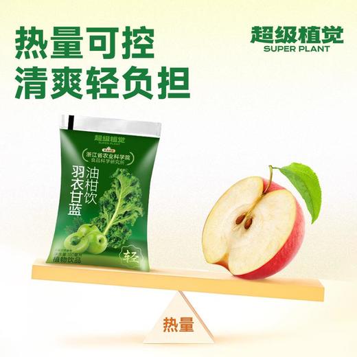 超级植觉羽衣甘蓝油柑饮900g 商品图9