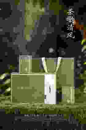23元/套【茶韵清风毛尖2听.绿色】整箱14套.整箱322元.整箱包邮