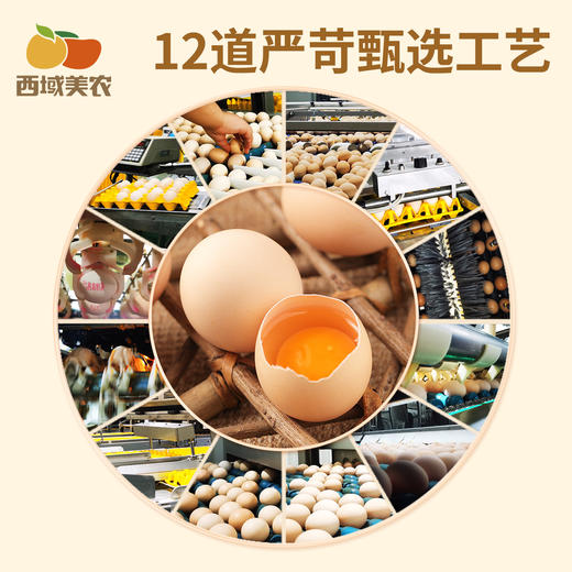 【产地溯源】有无抗认证 给大家在产地溯源10枚装鸡蛋 先尝尝给我反馈！ 商品图4