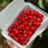 米易玛瑙小樱桃 商品缩略图6