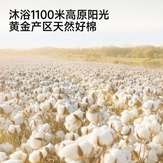 英氏女童裙子夏季小女孩公主裙休闲甜美女生连衣裙女宝宝碎花裙 商品图1