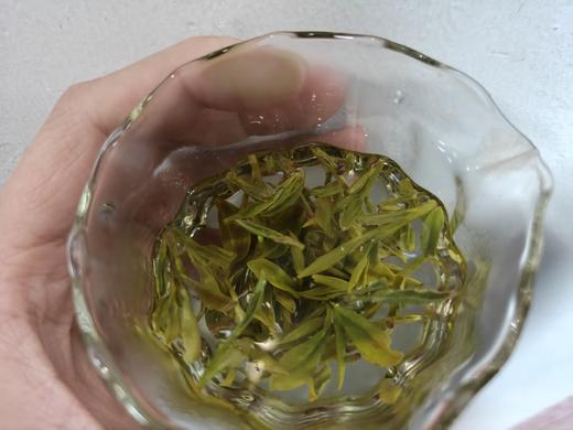 【预售 0329发货】2026年 头春头采/二采  西湖龙井 顺丰包邮 花香馥郁 味道通透 商品图4