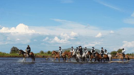 首发减1000【呼伦贝尔6天5夜房车营】大美呼伦贝尔草原，极致辽阔震撼！一家一车，野奢房车露营！私家牧场、2条定制骑马路线、森林红酒晚宴、探秘驯鹿…房车司机+领队+摄影师 商品图7