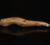 BC.SN3.21-3  富森红土沉水（材料），6.25g 商品缩略图0