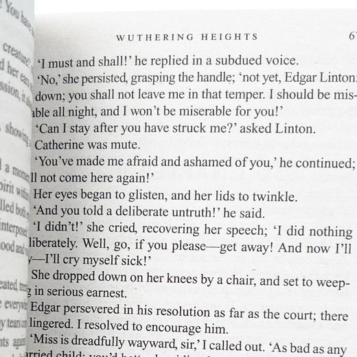 呼啸山庄 英文原版 Wuthering Heights 英文版 经典世界名著文学小说 艾米莉勃朗特 正版进口英语书籍 英语原版 商品图3