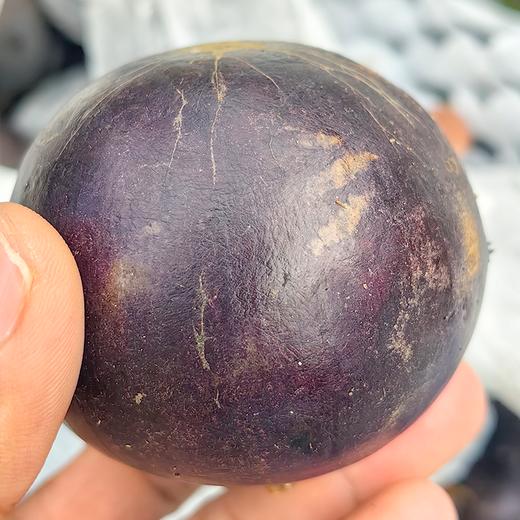 【预售】极客牛奶果丨淡淡奶香，果肉细腻，保质期较短，需尽快食用。深紫色果肉会涩，只吃白肉和浅红肉⭐️顺丰空运 商品图3