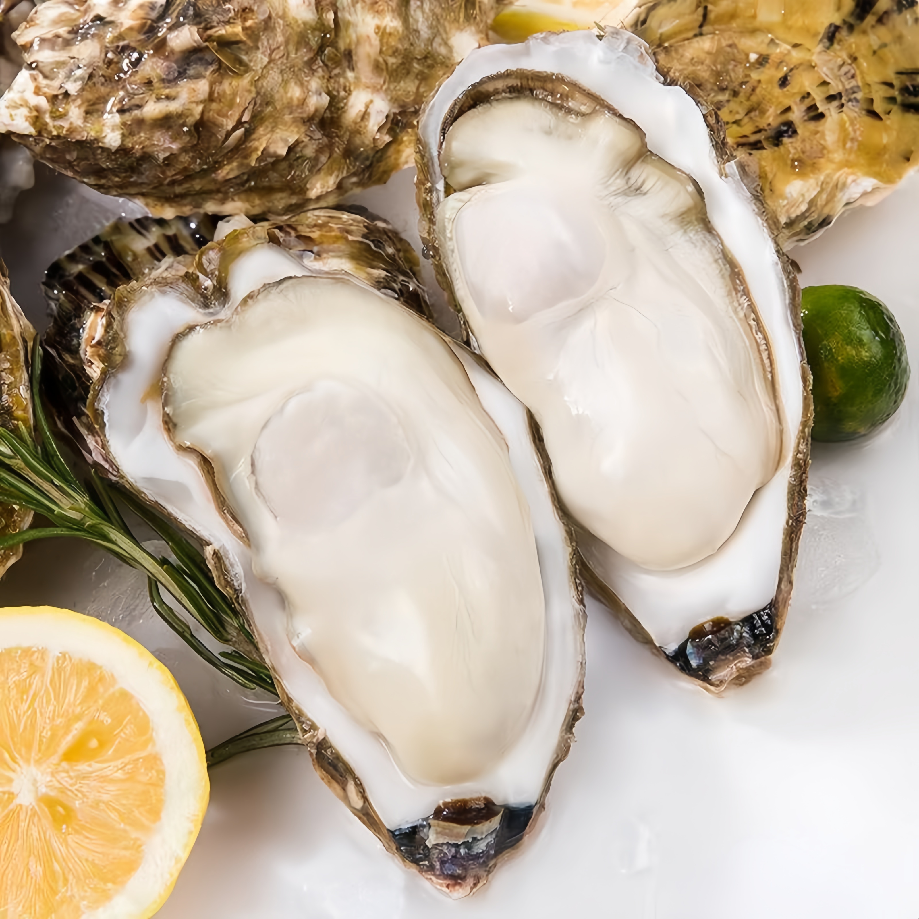 乳山鲜肥生蚝 5斤礼盒装（带壳发货）