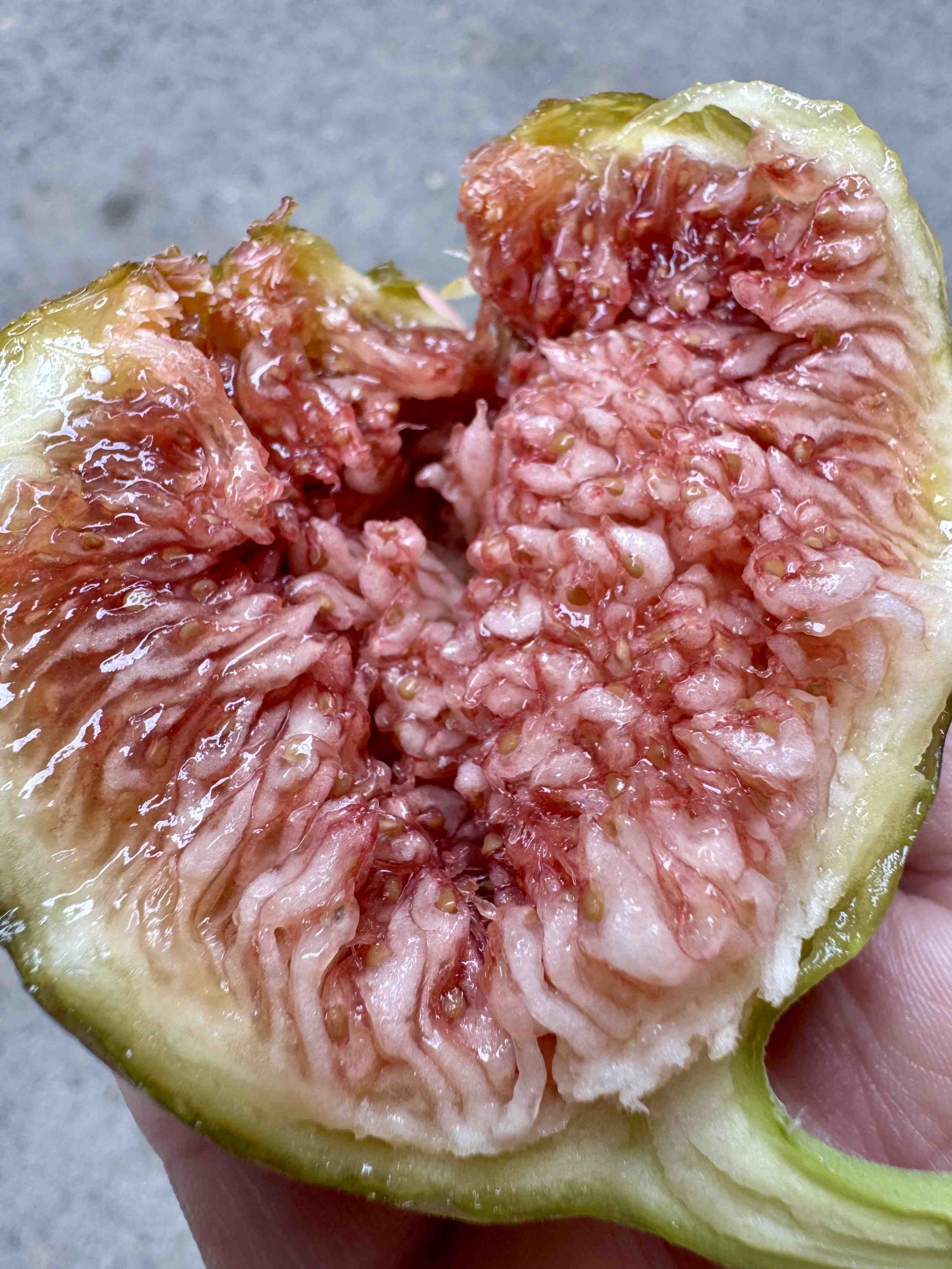 蜜的流油！软糯香甜，花觅无花果，今年大受欢迎的无花果品种，入口绵密鲜甜，刷新我这个老水果人对无花果的认知！太赞！！