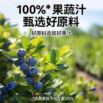 源制所蓝莓汁花青素100%复合果汁源究所添加NFC蓝莓汁200ml*12瓶饮料 /水饮冲调 /饮料 /果蔬汁/饮料 商品图0