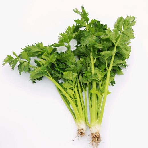 石嫣农场有机蔬菜份额 商品图4