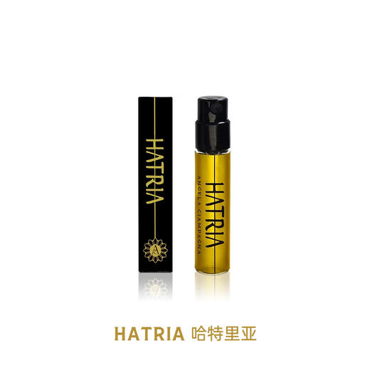 Angela Ciampagna安洁拉香 2ml试管合集 商品图2