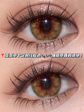 狐狸虹膜棕·日抛六片装