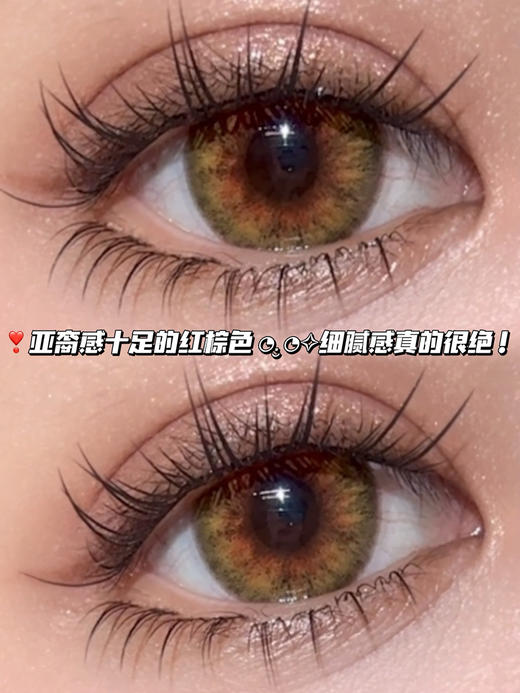 狐狸虹膜棕·日抛六片装 商品图0