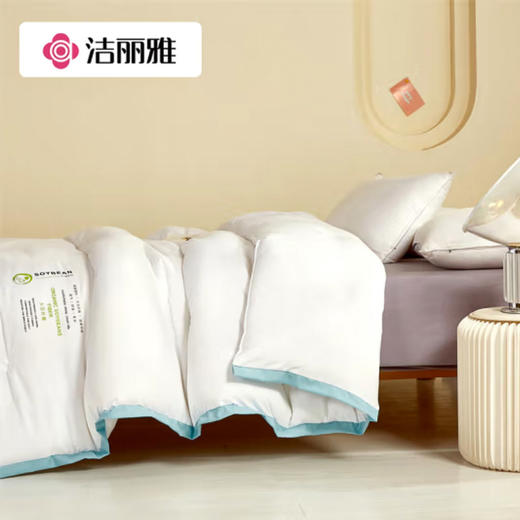 洁丽雅抗菌大豆纤维被150*200（3斤） 商品图3