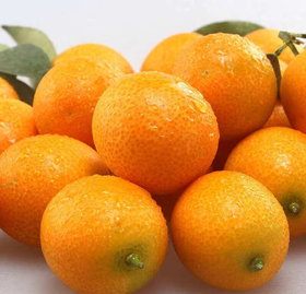 小金桔 （一盒装）