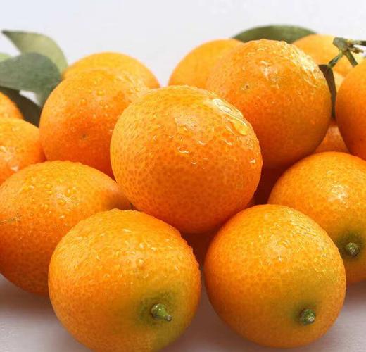 小金桔 （一盒装） 商品图0