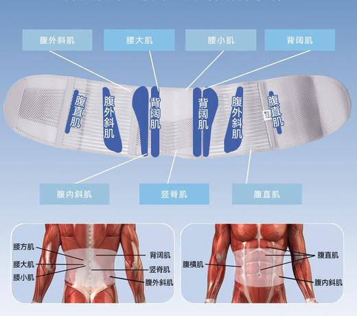 【护腰带】用于提供站姿、坐姿时的腰部支持，特别适合长时间在办公室工作的久坐人群，内侧防滑条设计和高达98%的大面积透气面料 商品图2