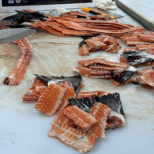 【预售4.11跟鱼肉一个包裹发出】新西兰帝王鲑边料【不单独发货，需要跟帝王鲑鱼肉一起发】丨三文鱼的天花板--帝王鲑，边料性价比是真的高！每周五发货，数量不多！⭐️顺丰快递 商品图7