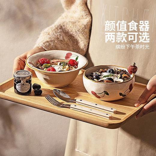 摩登主妇复古酸奶碗餐具沙拉碗水果甜品碗家用2026新款漂亮的饭碗 商品图4