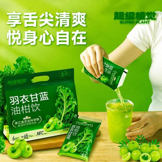 超级植觉羽衣甘蓝油柑饮900g 商品图7
