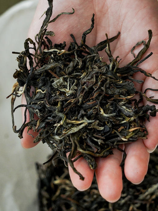 【名额过半！】【细叶王子】2026年春茶预售后山麓王子片区贡茶传奇：一叶难求的极致奢品 品细叶王子，享帝王口福：一汤入口，细腻之中见真质500克/团 8团/件 商品图4