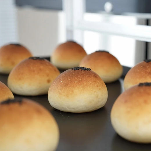 【厂商直发】有机生吐司/全麦贝果/蓝莓贝果/红豆餐包拒绝添加手工面包包邮 商品图7