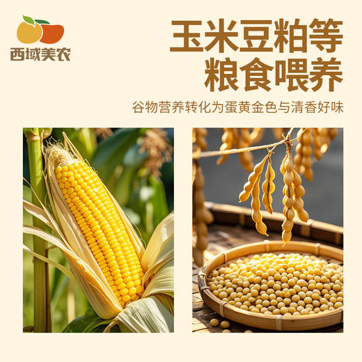 【产地溯源】有无抗认证 给大家在产地溯源10枚装鸡蛋 先尝尝给我反馈！ 商品图1