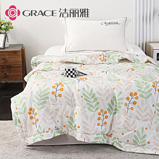 洁丽雅 致青春.艾草亲柔夏被JLY25501 商品图4