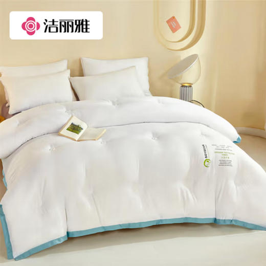 洁丽雅抗菌大豆纤维被150*200（3斤） 商品图2