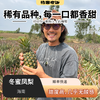 冬蜜凤梨丨即使青皮也可以食用，甜度高，无明显酸味，一口惊艳。⭐️顺丰快递 商品缩略图0