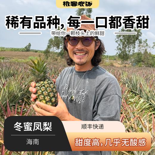 冬蜜凤梨丨即使青皮也可以食用，甜度高，无明显酸味，一口惊艳。⭐️顺丰快递 商品图0